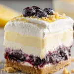 No Bake Lemon Blueberry Dessert