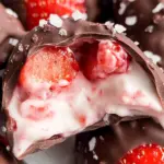 Chocolate Strawberry Yogurt Clusters (Viral Recipe!)